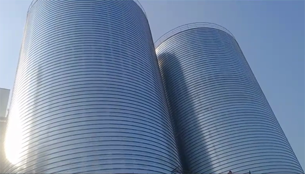 潜江经济开发区2座混凝土高架卷板仓